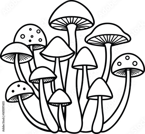 Black and white illustration of a cluster of various mushrooms
