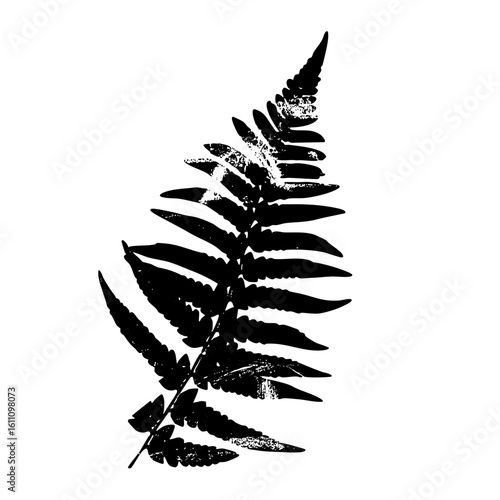Vector Elegant fern frond showcases botanical detail.