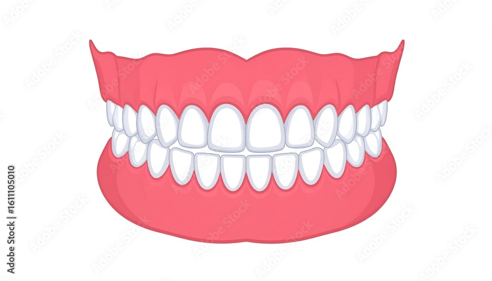 Fototapeta premium Cartoon vector illustration of a full set of dentures isolated on white background