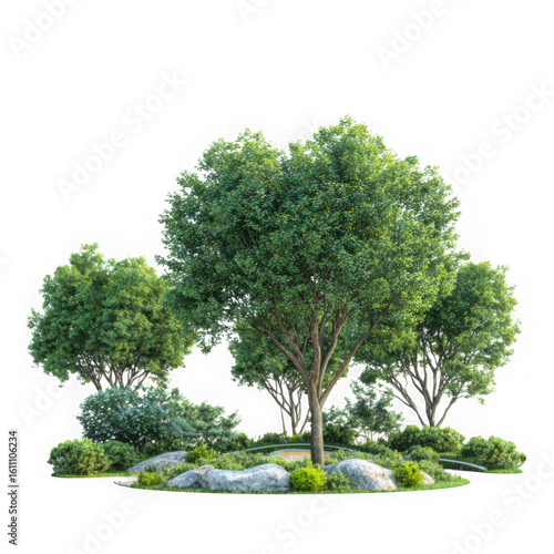  3d illustration landscape with green trees in the park on white background