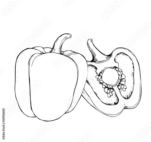 Bell Pepper Duo: A detailed line art illustration showcases a whole and halved bell pepper, emphasizing their form, texture, and seeds in a monochrome style.