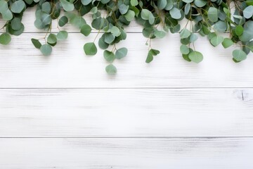Eucalyptus leaves arranged on white wooden planks creating beautiful border design