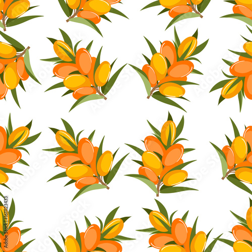 seamless pattern of yellow orange sea buckthorn fruits on a twig on a white background2.eps