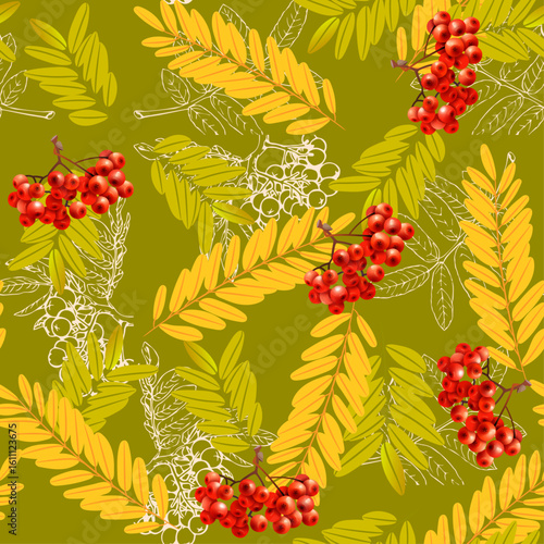 seamless pattern of beautiful bright red round rowan berries and yellow green leaves on a transparent background.ai