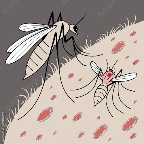 seamless background with mosquito dengue