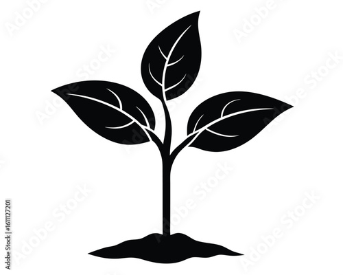 A black plant sprouting from the ground isolated on white background