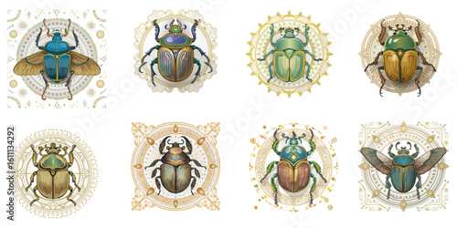 Collection of scarabs with ornaments, vector illustration. 