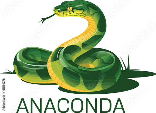 Anaconda Illustration: An artistic illustration of a vibrant anaconda, with striking green scales and a flicking tongue, slithering with an air of stealth and power.