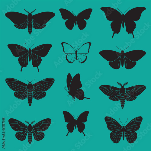 Black silhouette butterflies and moths set on white background vector.

