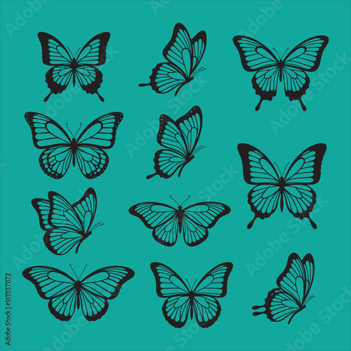 Black silhouette butterflies and moths set on white background vector.

