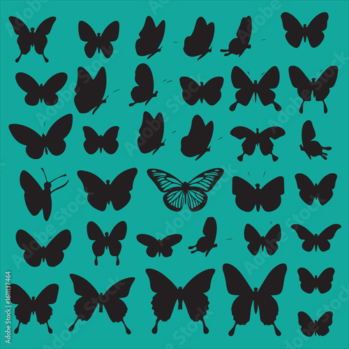 Black silhouette butterflies and moths set on white background vector.

