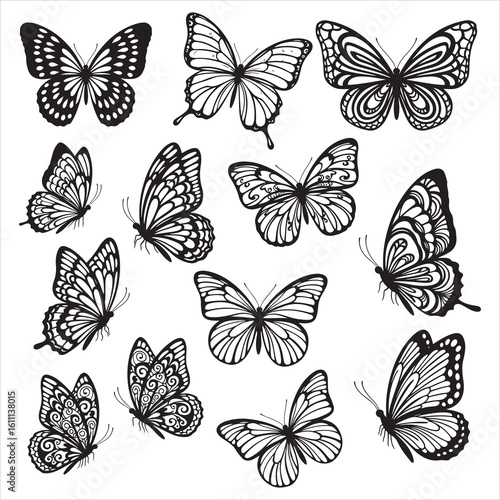Black silhouette butterflies and moths set on white background vector.

