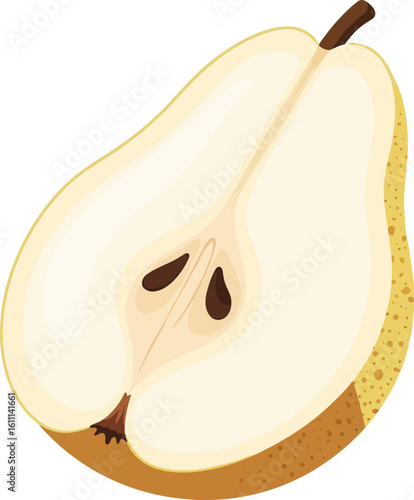 Pear Fruit Cut in Half, Realistic Cross-Section with Seeds