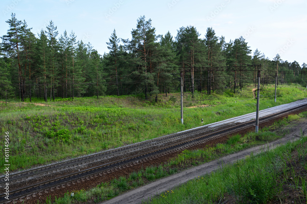 Fototapeta premium Railroad Tracks Through Forest A Scenic View from top