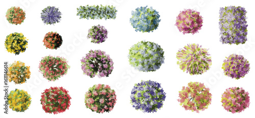 Vector watercolor of blooming tree top view isolated on white background for landscape plan and architecture drawing, elements for environment and garden,botanical elements ,blooming flower in spring