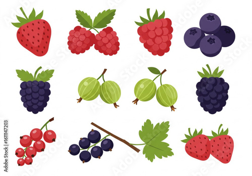 Collection of fresh berries including strawberries raspberries blueberries blackberries gooseberries and currants