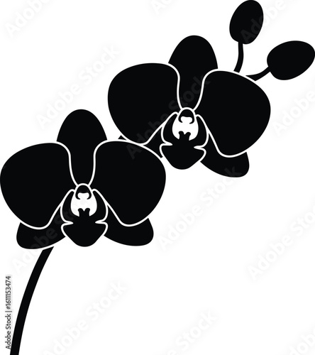 Elegant black orchid flowers silhouette on white background perfect for decorative design projects