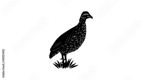 Heuglin's Spurfowl bird, black isolated silhouette