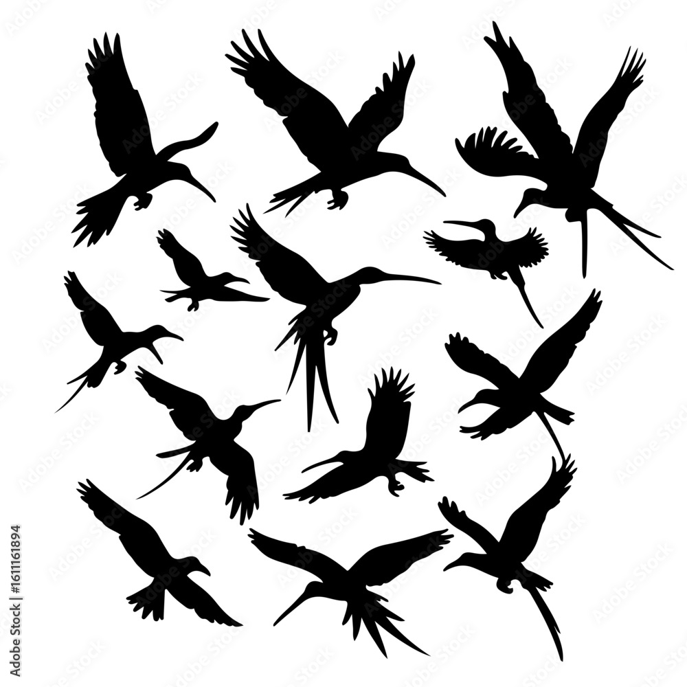 Fototapeta premium Flying Birds Silhouette Set with Long Tails