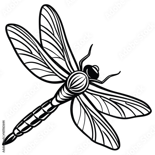 Intricate Vector Silhouettes of Isolated Dragonflies in Flight