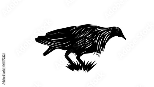 Nicobar Pigeon, black isolated silhouette