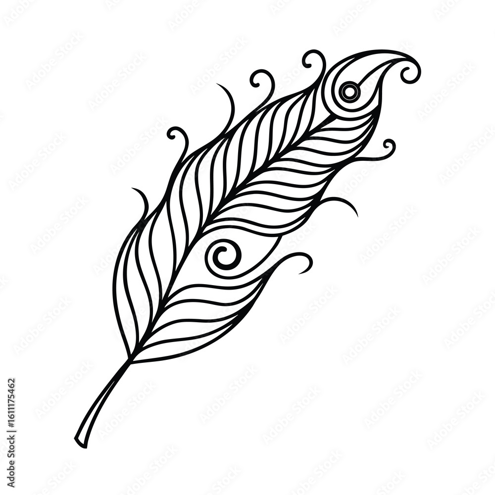 Obraz premium peacock feather in continuous line drawing style