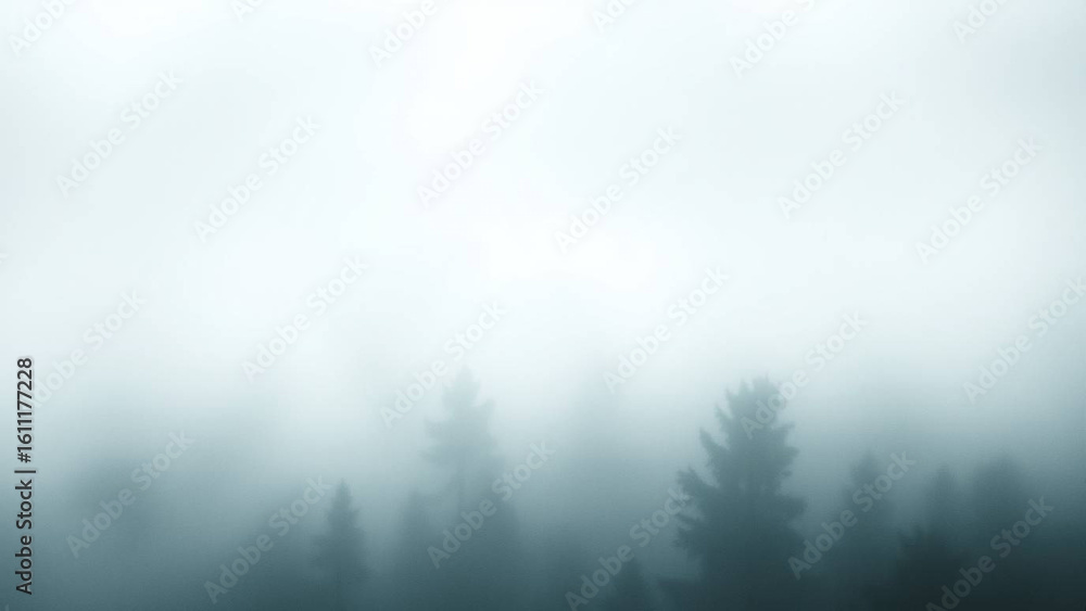 Naklejka premium fog in the forest