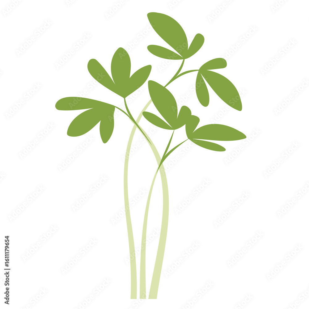 Minimalist illustration of microgreens cress pods green