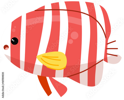 Peppermint angelfish 