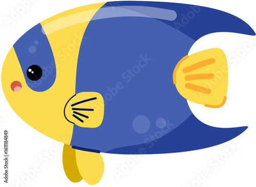 Bicolor angelfish 