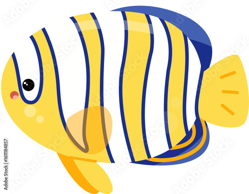 Regal angelfish