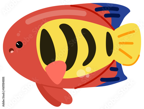 Flame angelfish 