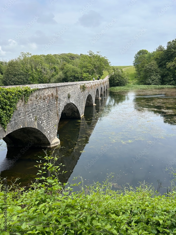 Fototapeta premium Stackpole Brücke Lily Ponds