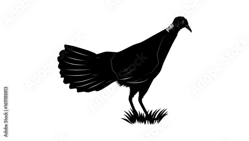 Pheasant Pigeon, black isolated silhouette