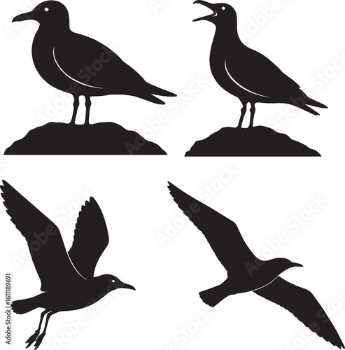Seagull Silhouette EPS – Flying, Standing, and Perched Bird Vector on White Background

