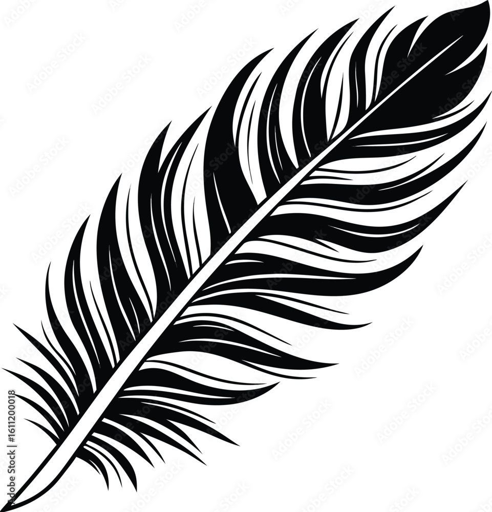 Obraz premium Feather Isolated on White Background