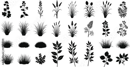 Collection of various plant and grass silhouettes in black and white for design elements use
