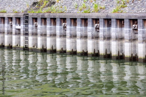 Concrete retaining wall with metal sheet pile wall reflecting in green water
