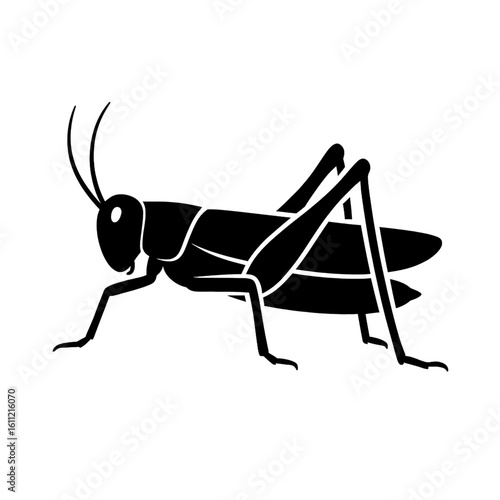grasshopper silhouette  on white background coloring page 