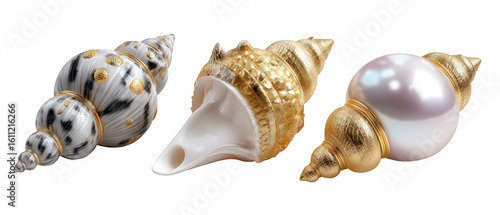 Elegant collection of decorative seashells with intricate designs and golden accents