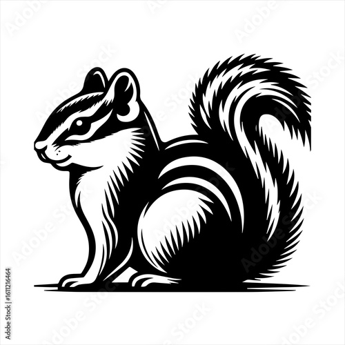Chipmunk illustration