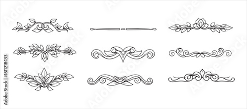 Branch square line collection. Retro decorative ornament divider. Herbal fancy doodle design components. Old-school botanical border. Wedding invitation, greeting card