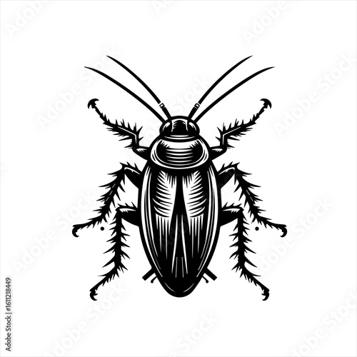 A detailed cockroach with antennae