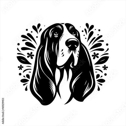 Basset hound portrait in black and white