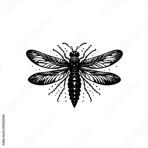 Dragonfly illustration