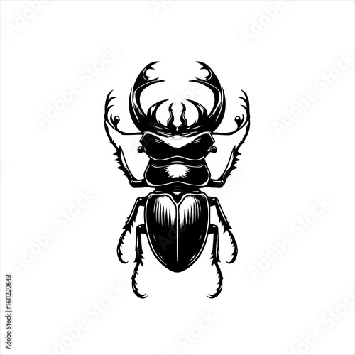 Stag beetle illustration isolated on white
