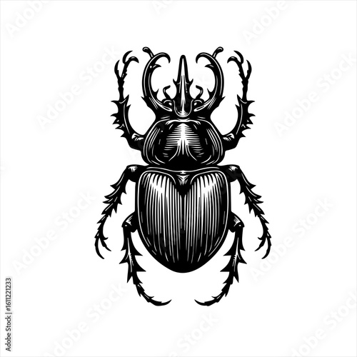 Rhinoceros beetle with horns