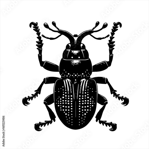 A detailed black beetle illustration