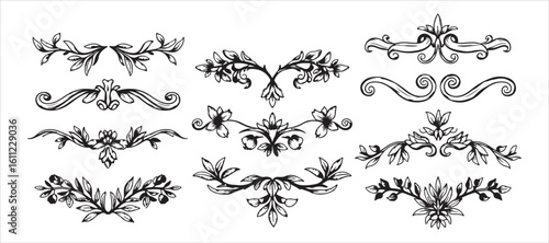 Hand-drawn floral dividers with ornamental designs. Includes vignettes of herbs and twigs. A bundle of decorative botanical scrolls and branches. This is an isolated vector illustration collection.