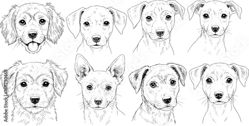 Adorable puppy sketches showcase diverse breeds, perfect for pet lovers and canine-themed designs